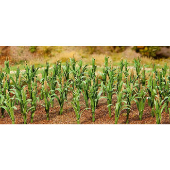 Maize Plants 25mm (36)